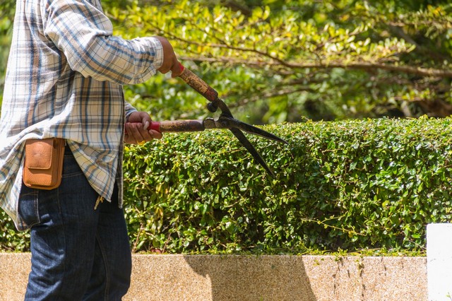 Garden Maintenance Chadwell Heath, Little Heath, RM6